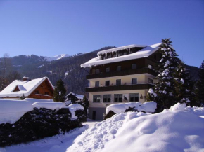 Гостиница Gasthof zur Gams, Доннерсбахвальд